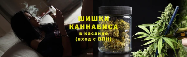 стафф Зеленокумск