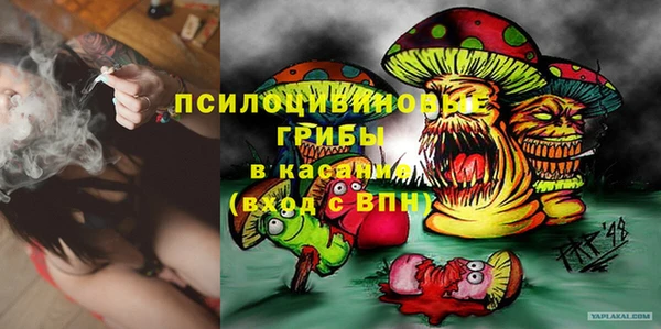 Альфа ПВП Зерноград