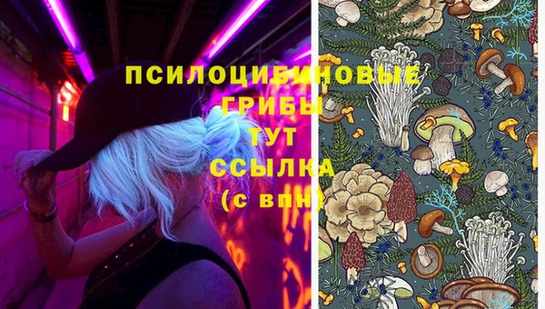 Альфа ПВП Зерноград