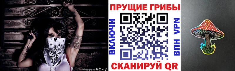 Купить где  Карабулак  Псилоцибиновые грибы Magic Shrooms 